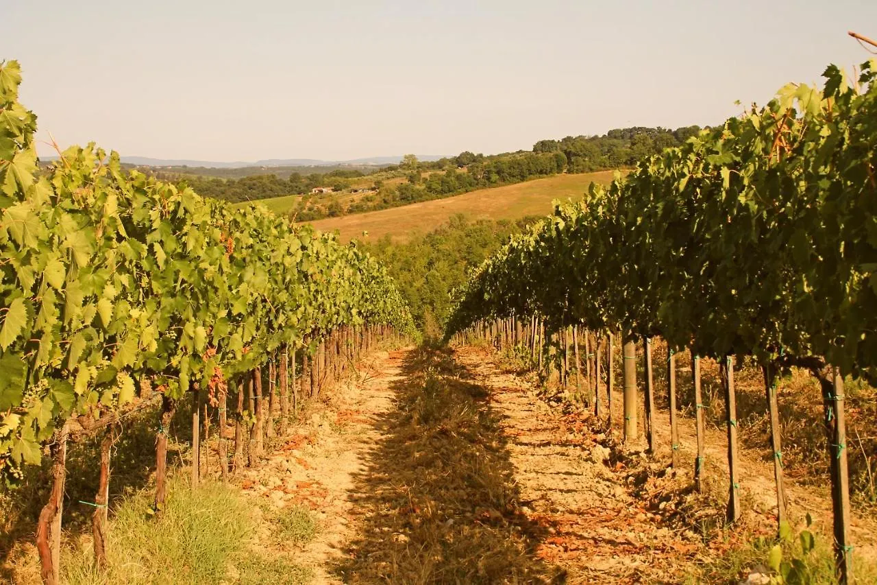 Apartment Ferienwohnung La Torre In Chianti Siena Italien